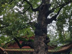 -昆明市金殿名胜区