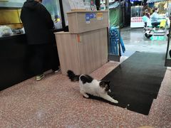-白翔甜食店