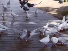 -良渚古城遗址公园