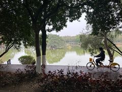 -番禺大夫山森林公园