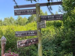 -苏木山森林公园