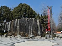 -合肥滨湖国家森林公园