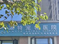 -派特宠物医院(海岸城店)