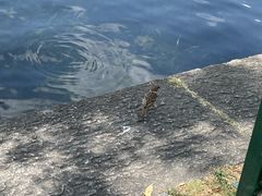-西湖天地