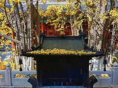 -八大处公园