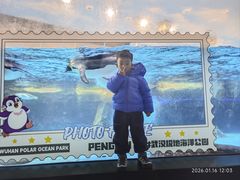 -海合安武汉极地海洋公园