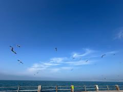 -悦海公园