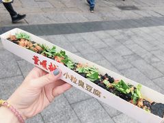 -董顺桃小粒臭豆腐(太平街一店)
