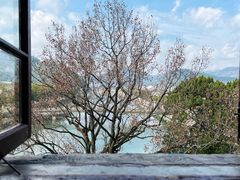 -蒋氏故居