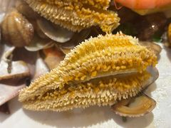 -永红源啤酒·烧烤·海鲜·大排档(青特城店)