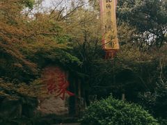 -杭州黄龙洞