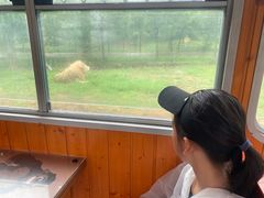 -秦皇岛野生动物园