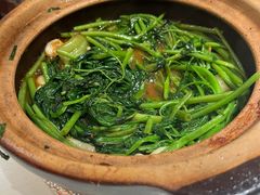 -煲煲好(朝阳门店)