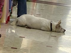 -小桃源酒家(罗湖商业城店)