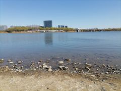 -大兴滨河森林公园