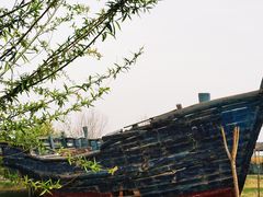 -哈素海