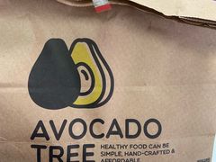 -油梨树 AVOCADO TREE(亮马桥店)