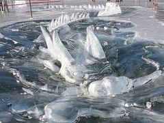 -长春市南湖公园