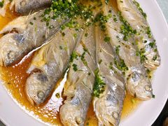 臭黄鱼-富临轩私房菜(集庆门大街店)