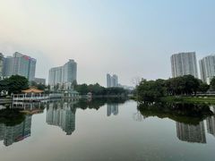 -荔湾湖公园