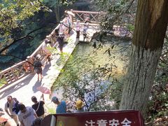 -莫干山风景区