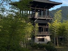 -大唐贡茶院
