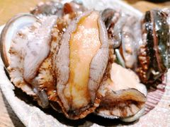 活鲍鱼-阳光岛·海鲜盛宴(银泰中心in99店)