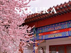 -桃花堤公园