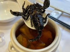 -山泉公馆酒家(珠江新城店)