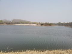 -东郊湿地公园