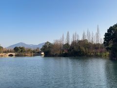 -三垟湿地