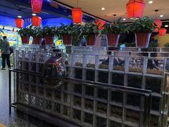 -东北人家铁锅炖(水岸帝景店)