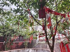 -飞霞风景名胜区