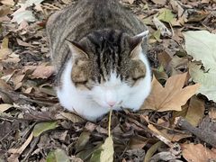 -中南财经政法大学(首义校区)