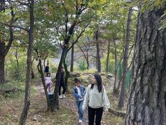 -玉渡山自然风景区