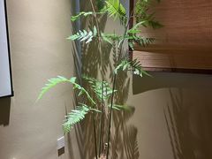 -若水云栖·足疗·按摩·SPA(城阳万达广场店)