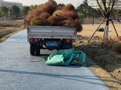 -春花秋色城市公园