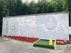 -陈家山荷花公园