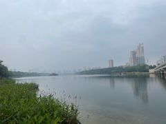 -南宁南湖公园
