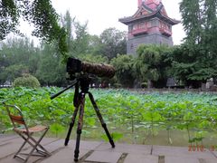 -四川大学(华西校区)