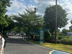 -森波拉奇妙世界