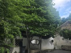 -王家大院