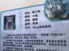 -青藏高原野生动物园