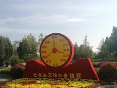 -东营·森林乐园