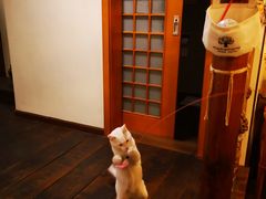 -慕咖啡(宽窄巷子店)