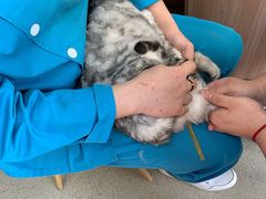 -爱派特动物医院·全科诊疗中心