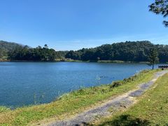 -海南热带雨林国家公园吊罗山景区