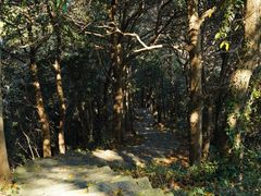 -龙坞茶村