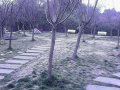 -三圣花乡旅游区