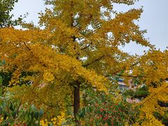 -滨河世纪广场公园